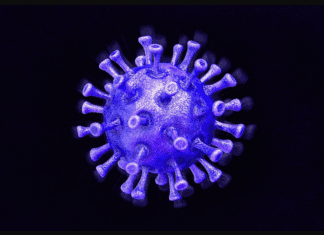 Коронавирус. Фото из открытых источников.