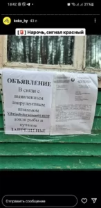 Опасен ли обнаруженный в Нарочи штамм холеры