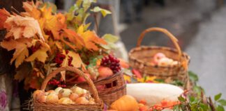 Осенние сельскохозяйственные ярмарки в Минске: Где и когда