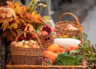 Осенние сельскохозяйственные ярмарки в Минске: Где и когда
