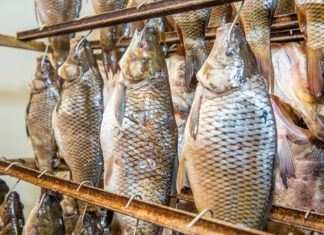 Госконтроль и финансовая милиция выявили недостачу на рыбокомбинатах Минской области