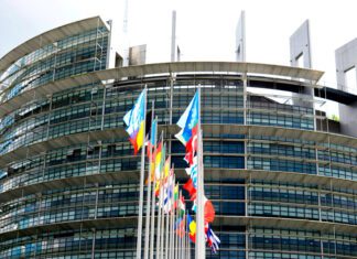 Европарламент требует ордер на арест Лукашенко в связи с украинским конфликтом