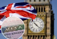 Британские визы станут дороже: изменения стоимости и дата вступления в силу