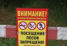 Запреты на посещение лесов: 14 районов Беларуси на карантине