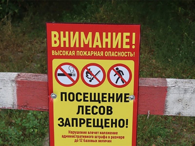 Запреты на посещение лесов: 14 районов Беларуси на карантине