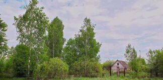 Спрос на земельные участки в Минской области растет, а цены остаются доступными