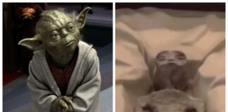 Сенсационное заявление в парламенте Мексики: Найдены останки инопланетян в Перу