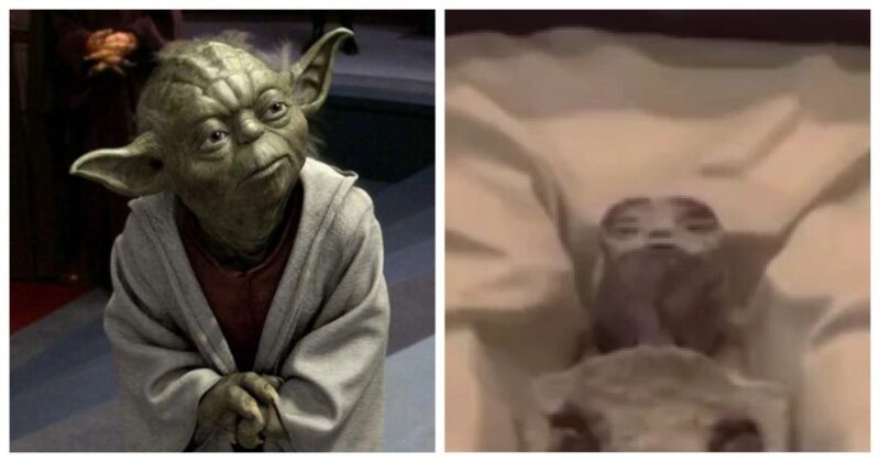 Сенсационное заявление в парламенте Мексики: Найдены останки инопланетян в Перу