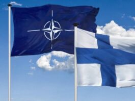 Финляндия завершила строительство пробного участка забора на границе с Россией