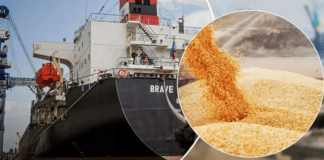 Россия готова к возврату к зерновой сделке после вывода сельхозпродукции на мировые рынки