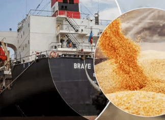 Россия готова к возврату к зерновой сделке после вывода сельхозпродукции на мировые рынки