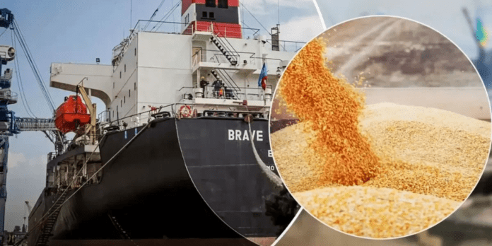 Россия готова к возврату к зерновой сделке после вывода сельхозпродукции на мировые рынки Россия готова к возврату к зерновой сделке после вывода сельхозпродукции на мировые рынки