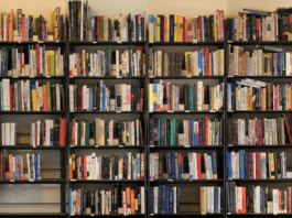 Прокуратура Минской области выявила экстремистские материалы в каталогах девяти библиотек