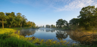 Летний жар в Беларуси: Температура воздуха достигнет +30°C