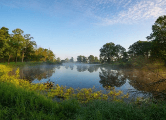 Летний жар в Беларуси: Температура воздуха достигнет +30°C