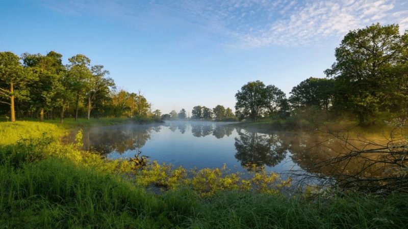 Летний жар в Беларуси: Температура воздуха достигнет +30°C