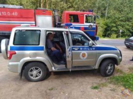 Спасатели помогли грибнику выбраться из леса в Ушачском районе