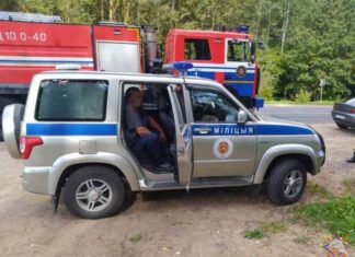 Спасатели помогли грибнику выбраться из леса в Ушачском районе