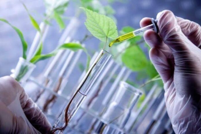 Монголия и Беларусь: сотрудничество в области разработки лекарств из растений