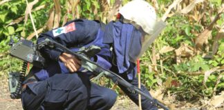 Украина обратилась к Камбодже с просьбой о помощи в обучении саперов ВСУ по разминированию