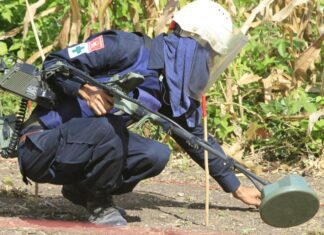 Украина обратилась к Камбодже с просьбой о помощи в обучении саперов ВСУ по разминированию