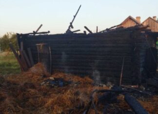 Пожар в Ляховичском районе унёс жизни свиней и нанёс ущерб имуществу