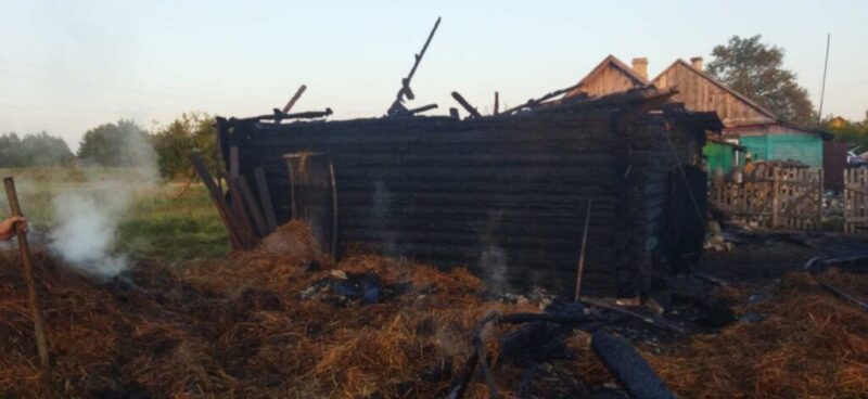 Пожар в Ляховичском районе унёс жизни свиней и нанёс ущерб имуществу