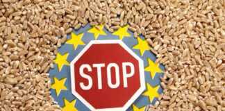 Еврокомиссия снимает эмбарго на поставки украинского зерна после обязательств Киева, но Польша против