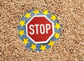 Еврокомиссия снимает эмбарго на поставки украинского зерна после обязательств Киева, но Польша против