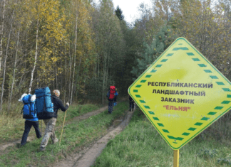 Пожар в республиканском заказнике "Ельня" ликвидирован
