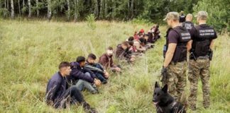 Польская погранохрана не подтверждает данные о 13 тыс. мигрантах, проникших в Германию