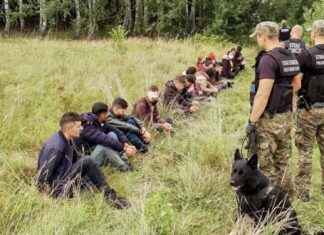 Польская погранохрана не подтверждает данные о 13 тыс. мигрантах, проникших в Германию