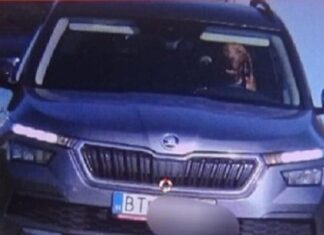 Собака за рулем: нарушение скоростного режима в Словакии