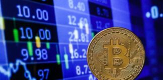 Борьба с незаконным оборотом криптовалюты: могилевчанин заработал свыше Br700 тыс.