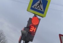 В Могилеве нетрезвый водитель повредил светофор и дорожный знак