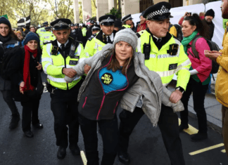 Грета Тунберг оштрафована за участие в акции протеста экологистов в Лондоне