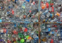 Польша поглощает российский пластик: проблемы с утилизацией и нарушение стандартов ЕС