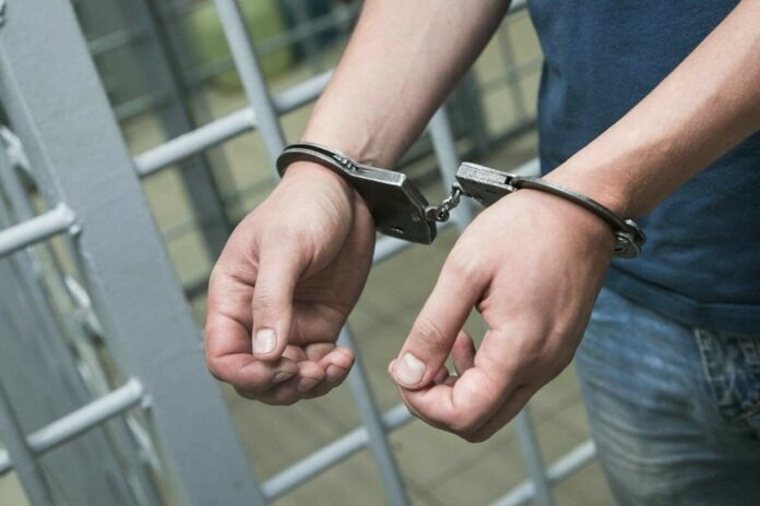 Попытка вывоза: В Витебске задержаны сутенеры, вербовавшие девушек для проституции за границей